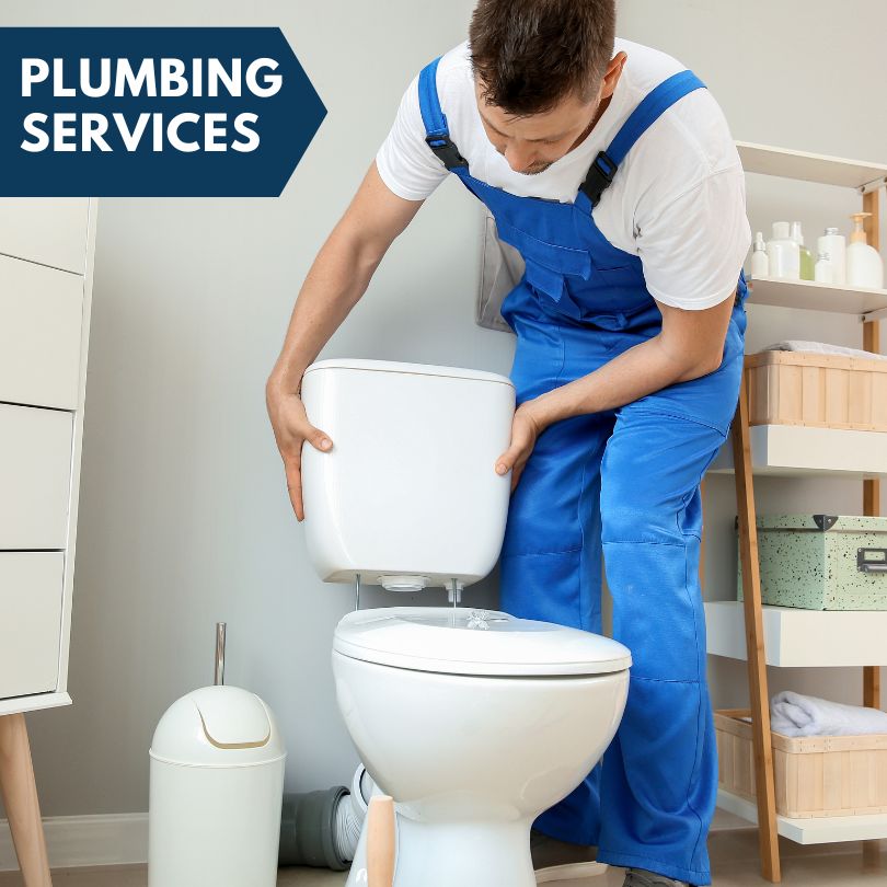Plumbing Company in Paisley, FL